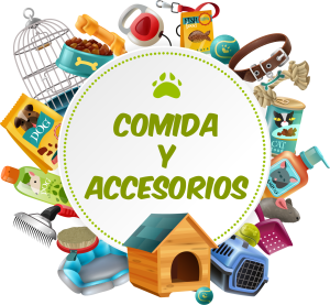 comida y accesorios